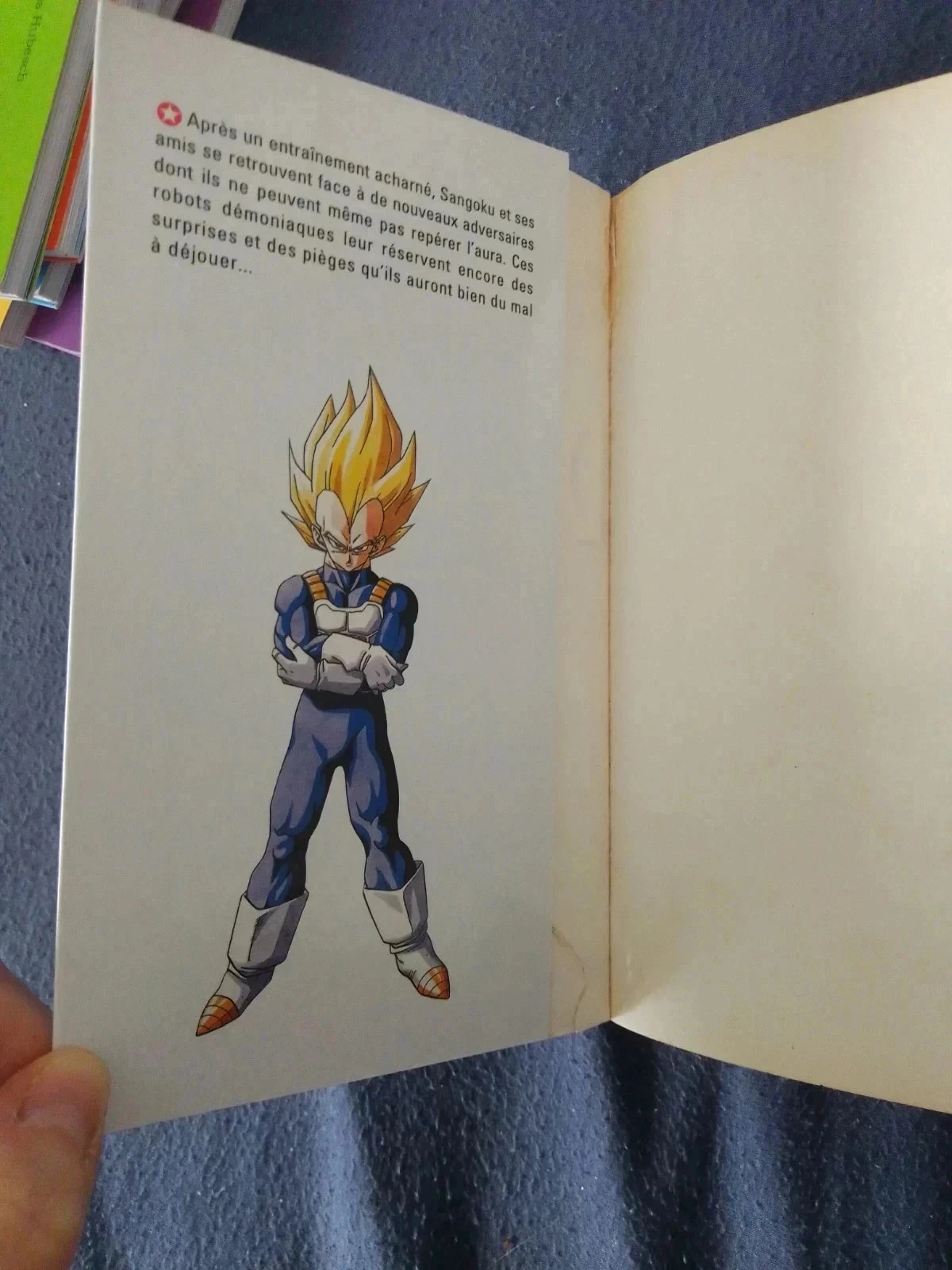 Dragon ball 29 – photo 4